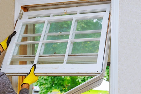 Window Replacement in Egypt Lake-Leto, FL