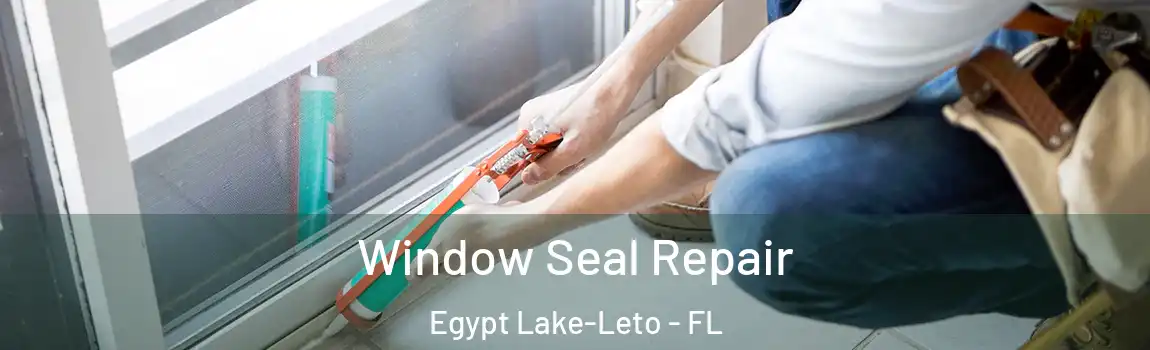  Window Seal Repair Egypt Lake-Leto - FL